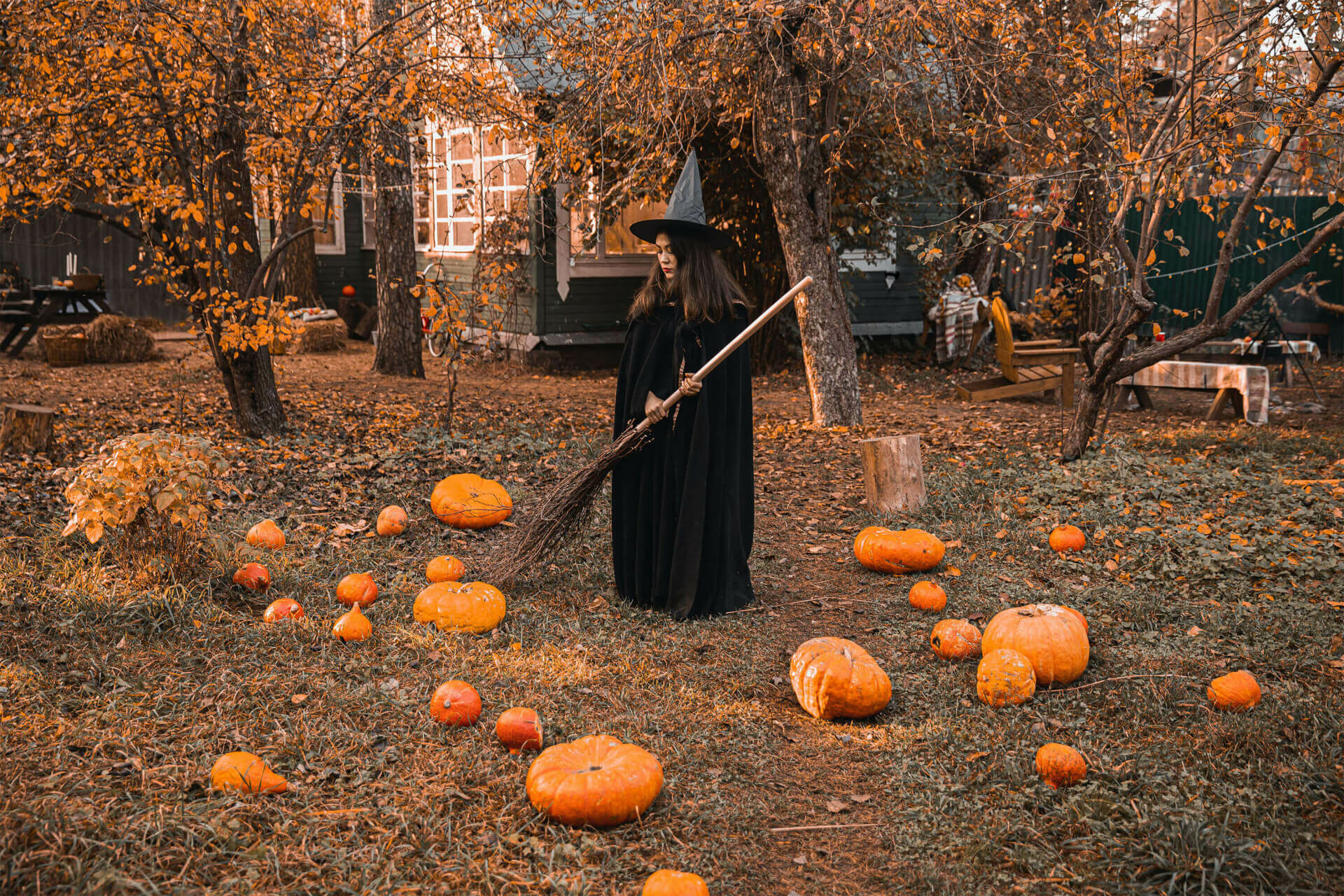 Halloween i din egen trädgård