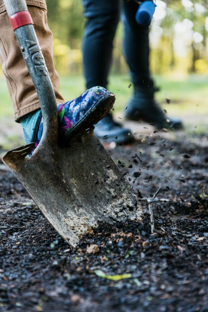 Aanplanten